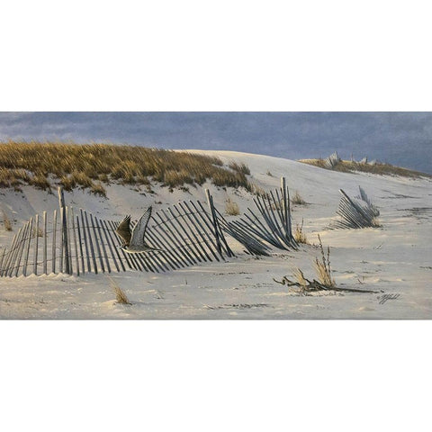 Passage - Peregrine Falcon Black Modern Wood Framed Art Print by Goebel, Wilhelm
