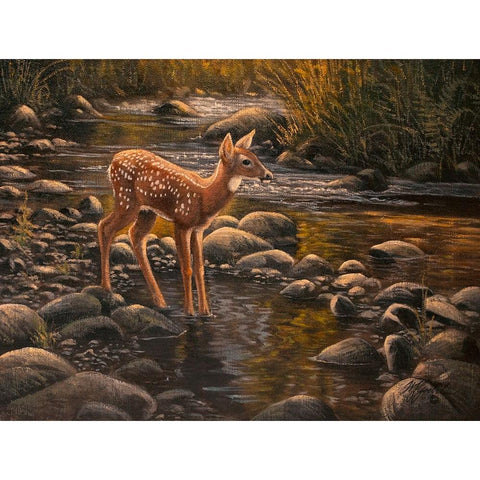 Waters Edge - Fawn White Modern Wood Framed Art Print by Goebel, Wilhelm