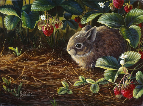 Young Cottontail And Strawberries Black Ornate Wood Framed Art Print with Double Matting by Goebel, Wilhelm