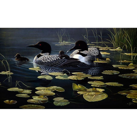 Shoreline Refuge - Loon Family Gold Ornate Wood Framed Art Print with Double Matting by Goebel, Wilhelm