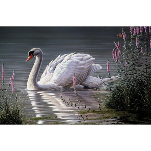 Summer Idyll - Mute Swan Black Modern Wood Framed Art Print by Goebel, Wilhelm