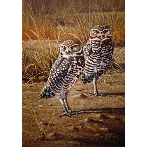 Burrowing Owls Gold Ornate Wood Framed Art Print with Double Matting by Goebel, Wilhelm