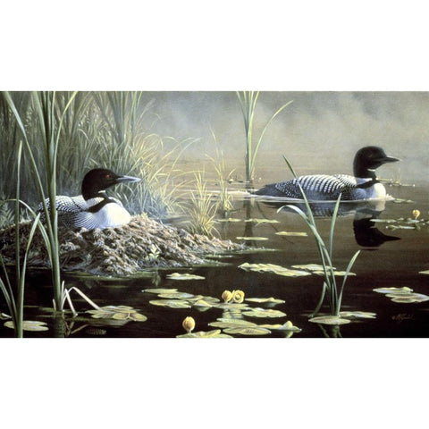 Nesting Loons Black Modern Wood Framed Art Print by Goebel, Wilhelm