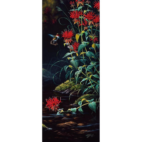 Ruby Throated Hummingbird Black Modern Wood Framed Art Print with Double Matting by Goebel, Wilhelm