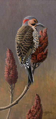 Flicker on Sumac Black Ornate Wood Framed Art Print with Double Matting by Goebel, Wilhelm