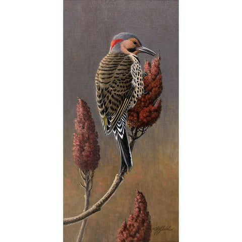 Flicker on Sumac Black Modern Wood Framed Art Print with Double Matting by Goebel, Wilhelm