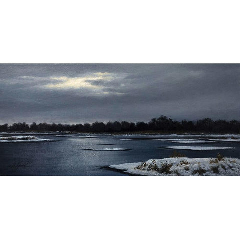 Frozen Marsh Black Modern Wood Framed Art Print with Double Matting by Goebel, Wilhelm