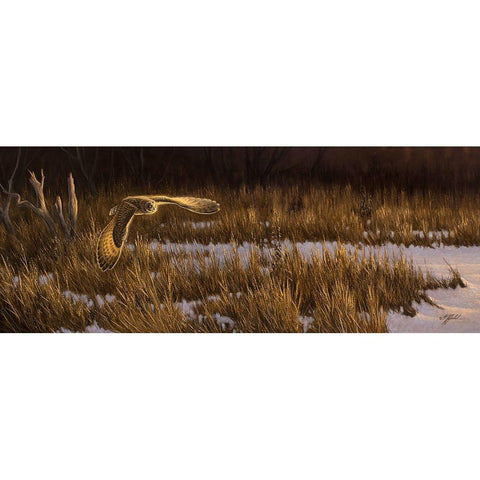 Into The Light Black Modern Wood Framed Art Print with Double Matting by Goebel, Wilhelm