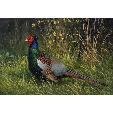 Japanese Green Pheasant Gold Ornate Wood Framed Art Print with Double Matting by Goebel, Wilhelm
