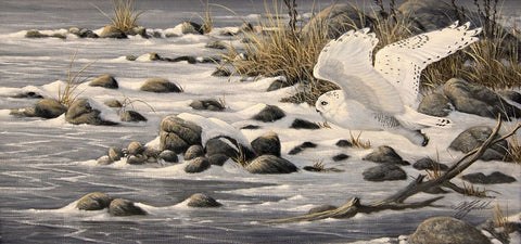 On The Move Black Ornate Wood Framed Art Print with Double Matting by Goebel, Wilhelm