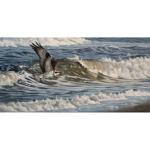 Osprey and Surf Black Modern Wood Framed Art Print with Double Matting by Goebel, Wilhelm