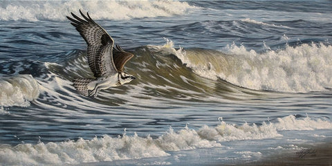 Osprey and Surf White Modern Wood Framed Art Print with Double Matting by Goebel, Wilhelm