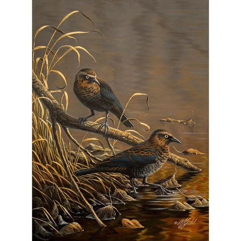Rusty Blackbirds White Modern Wood Framed Art Print by Goebel, Wilhelm
