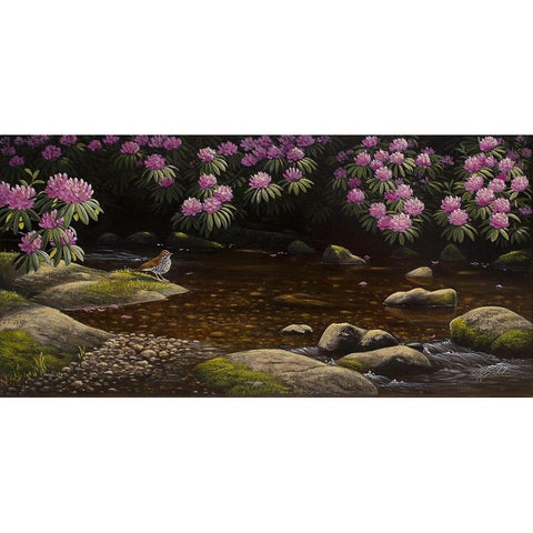 Spring Run Black Modern Wood Framed Art Print by Goebel, Wilhelm