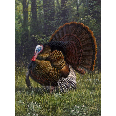 Spring Strut Black Modern Wood Framed Art Print by Goebel, Wilhelm