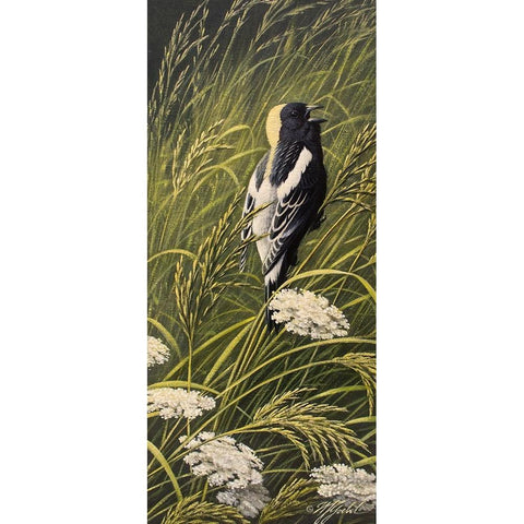 Summer Song - Bobolink White Modern Wood Framed Art Print by Goebel, Wilhelm