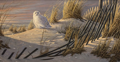 Sunrise Snowy White Modern Wood Framed Art Print with Double Matting by Goebel, Wilhelm