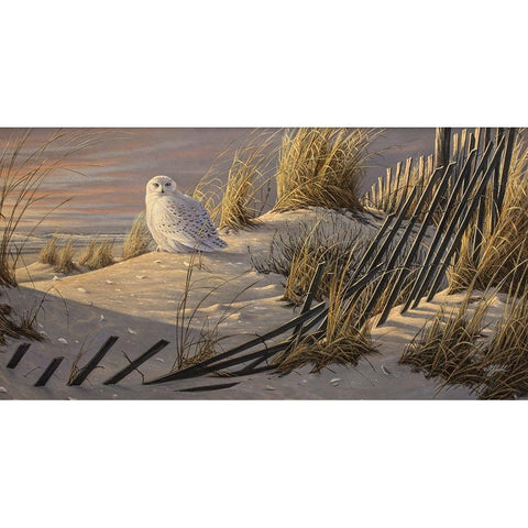 Sunrise Snowy Black Modern Wood Framed Art Print by Goebel, Wilhelm