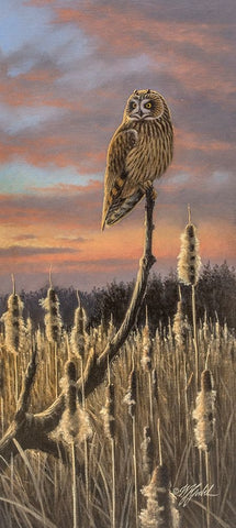 Sunset Shortie Black Ornate Wood Framed Art Print with Double Matting by Goebel, Wilhelm