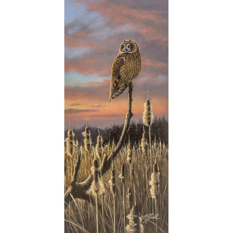 Sunset Shortie Black Modern Wood Framed Art Print by Goebel, Wilhelm