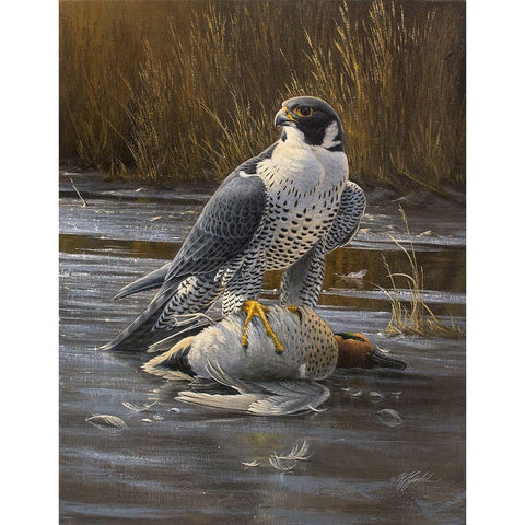 Teal Meal - Peregrine Gold Ornate Wood Framed Art Print with Double Matting by Goebel, Wilhelm