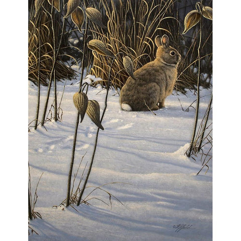 Winter Cottontail Black Modern Wood Framed Art Print by Goebel, Wilhelm