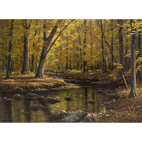 Woodland Brook Black Modern Wood Framed Art Print with Double Matting by Goebel, Wilhelm