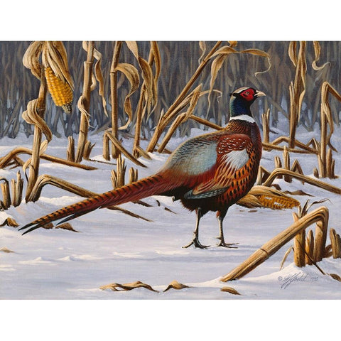 Corn Row Ringneck White Modern Wood Framed Art Print by Goebel, Wilhelm