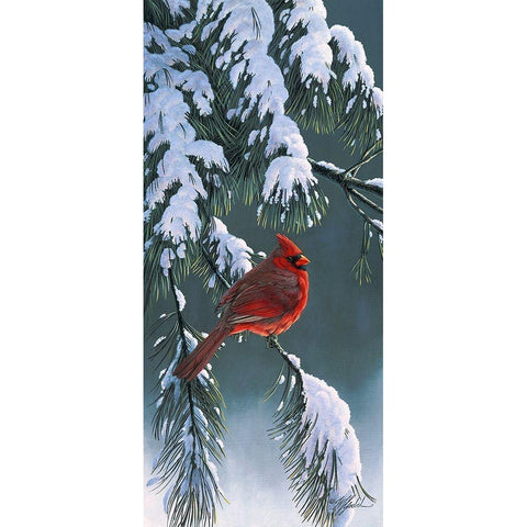 Winter Light 1 Black Modern Wood Framed Art Print with Double Matting by Goebel, Wilhelm