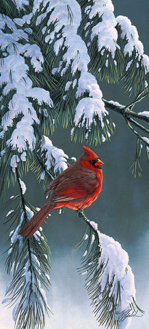 Winter Light 1 Black Ornate Wood Framed Art Print with Double Matting by Goebel, Wilhelm