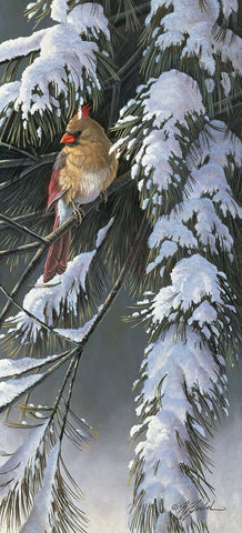 Winter Light 2 Black Ornate Wood Framed Art Print with Double Matting by Goebel, Wilhelm