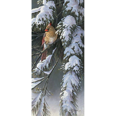 Winter Light 2 Black Modern Wood Framed Art Print by Goebel, Wilhelm