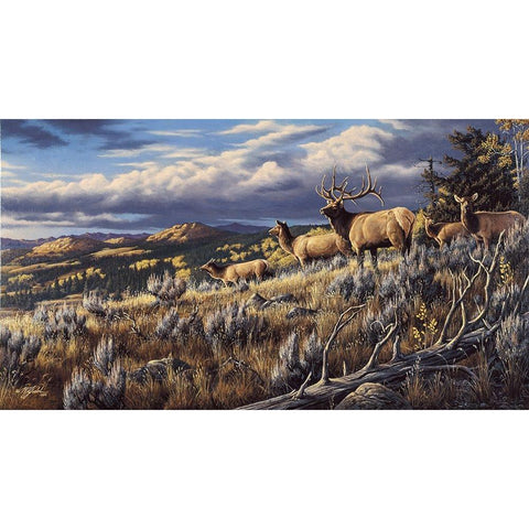 King Of The Hill - Elk Black Modern Wood Framed Art Print with Double Matting by Goebel, Wilhelm
