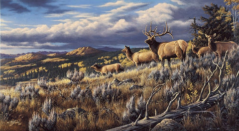 King Of The Hill - Elk Black Ornate Wood Framed Art Print with Double Matting by Goebel, Wilhelm