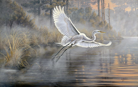 Sunrise Flight Black Ornate Wood Framed Art Print with Double Matting by Goebel, Wilhelm