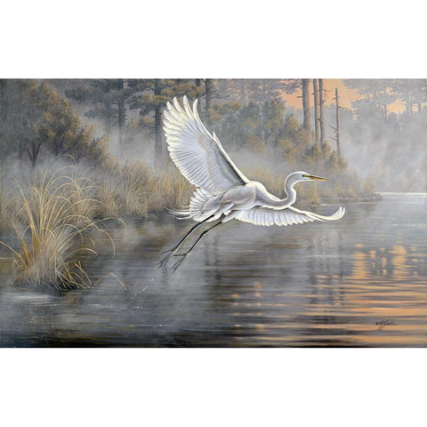 Sunrise Flight Black Modern Wood Framed Art Print by Goebel, Wilhelm