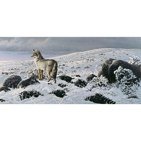 Open Country - Coyote Black Modern Wood Framed Art Print with Double Matting by Goebel, Wilhelm