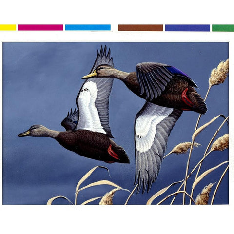 1984 Black Ducks Black Modern Wood Framed Art Print by Goebel, Wilhelm