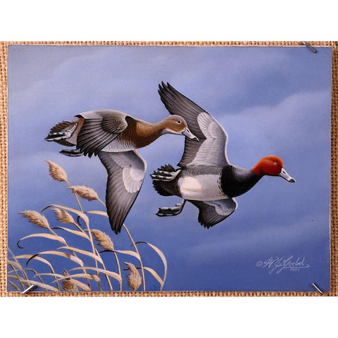 1986 Redhead Ducks Gold Ornate Wood Framed Art Print with Double Matting by Goebel, Wilhelm