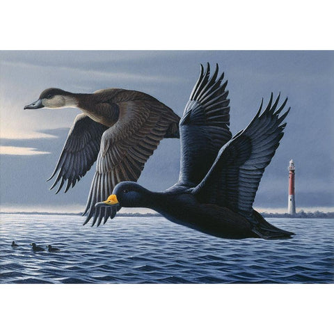 1990 Black Scoters Gold Ornate Wood Framed Art Print with Double Matting by Goebel, Wilhelm