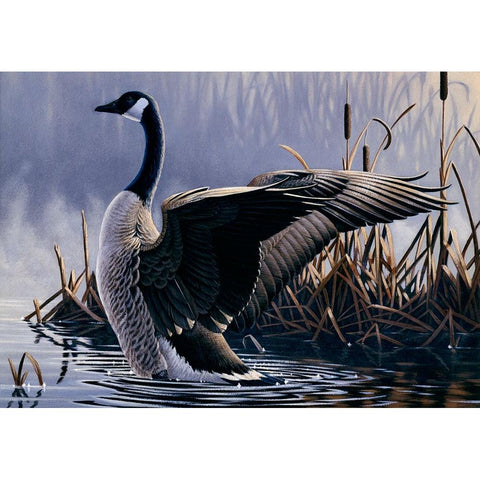 1992 Canada Goose Black Modern Wood Framed Art Print with Double Matting by Goebel, Wilhelm