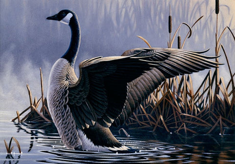 1992 Canada Goose Black Ornate Wood Framed Art Print with Double Matting by Goebel, Wilhelm