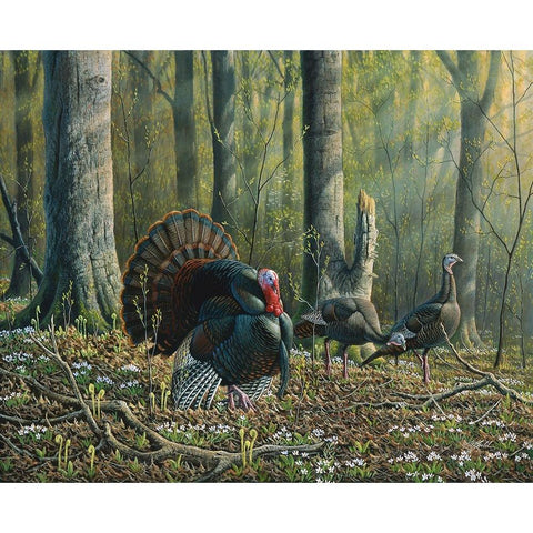 Spring Beauties White Modern Wood Framed Art Print by Goebel, Wilhelm