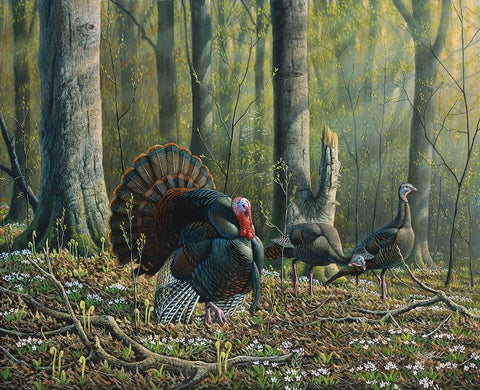 Spring Beauties White Modern Wood Framed Art Print with Double Matting by Goebel, Wilhelm