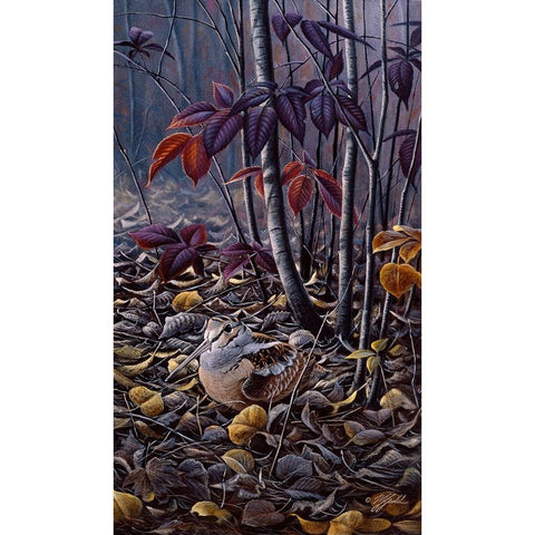 Autumn Colors- Woodcock Black Modern Wood Framed Art Print by Goebel, Wilhelm