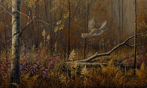 Into The Open - Ruffed Grouse White Modern Wood Framed Art Print with Double Matting by Goebel, Wilhelm