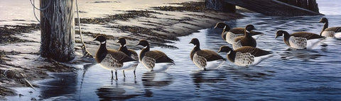 Brant Coming Ashore White Modern Wood Framed Art Print with Double Matting by Goebel, Wilhelm