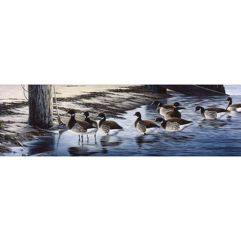 Brant Coming Ashore Gold Ornate Wood Framed Art Print with Double Matting by Goebel, Wilhelm