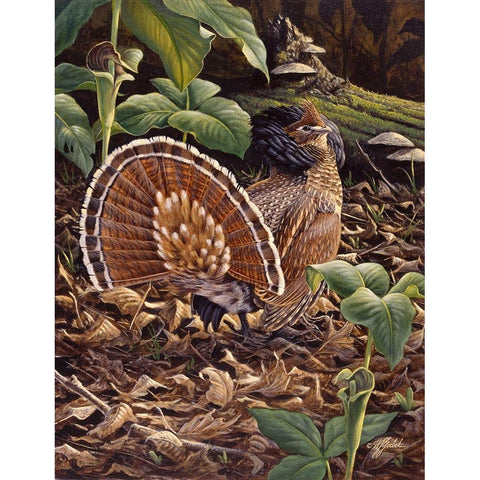 May Display - Ruffed Grouse Gold Ornate Wood Framed Art Print with Double Matting by Goebel, Wilhelm