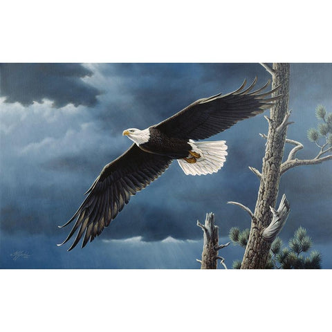 Soaring Wings Black Modern Wood Framed Art Print by Goebel, Wilhelm